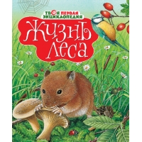 Жизнь леса Махаон Детские книги 
