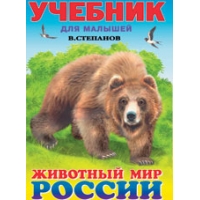 Животный мир России Фламинго Познавательные книги 