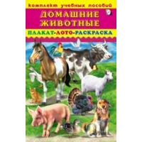 Домашние животные - Плакат, лото, раскраска Фламинго Дошкольное обучение 