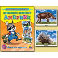 Животные Северной Америки Проф-Пресс Детские книги 