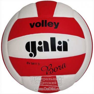 Мяч волейбольный Bora  Gala 