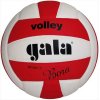 Мяч волейбольный Bora