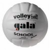 Мяч волейбольный School Foam