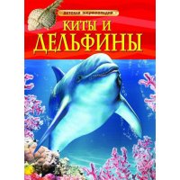 Киты и дельфины Росмэн Познавательные книги 