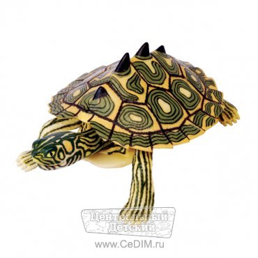 4D-пазл Географическая черепаха  Gulliver 