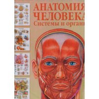 Атлас анатомии человека Системы и органы в таблицах Аст Детские книги 
