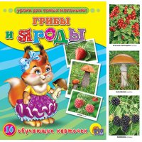 Грибы и ягоды Проф-Пресс Детские книги 